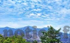 乐鱼体育平台下载官网-乐鱼体育，连接全球体育爱好者的互动平台
